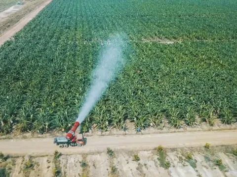 HAGL Agrico lỗ quý thứ 13 liên tiếp, luỹ kế lỗ hơn 8.000 tỷ, chỉ còn hơn 6 tỷ đồng tiền mặt