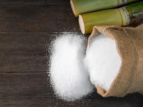 Đại gia ngành đường 'khoe' lượng vàng SJC và tiền USD đang nắm giữ khi giá đang tăng vùn vụt, báo lãi quý 1/2024 tăng 68%