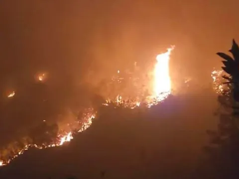 Thủ tướng Chính phủ yêu cầu tăng cường triển khai các biện pháp cấp bách phòng cháy, chữa cháy rừng