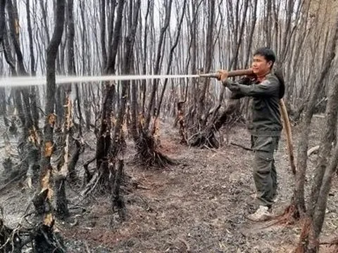 Kiên Giang: Hơn 370ha rừng bị cháy ở Giang Thành