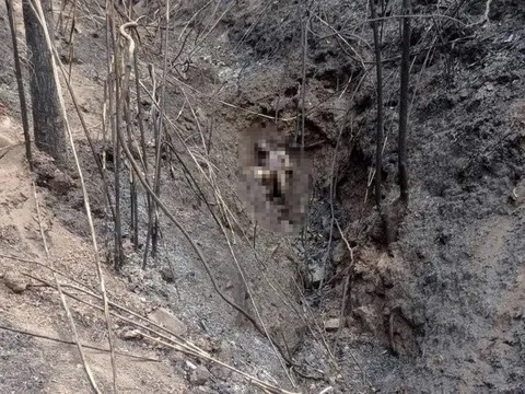 Điện Biên: Phát hiện thi thể 3 bố con chết cháy trong khe núi