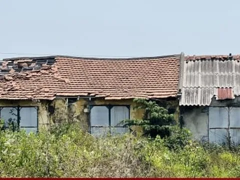 Thảm cảnh ở Cty lâm nghiệp Trà Tân: Giám đốc bị nợ lương 10 năm, trụ sở đổ nát