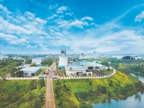 Công ty Nhôm Đắk Nông hoạt động cầm chừng vì thiếu nguyên liệu