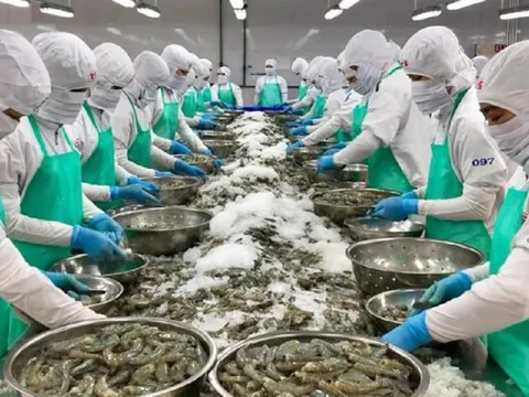 Dự báo xuất khẩu thủy sản Việt Nam năm 2024: Cơ hội và thách thức