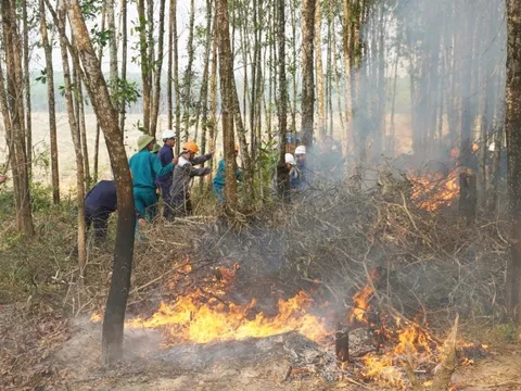 Quảng Bình tăng cường biện pháp cấp bách phòng cháy, chữa cháy rừng
