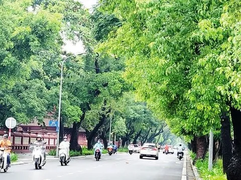 Thêm 3 tỉnh được Bộ Công an yêu cầu cung cấp tài liệu về dự án cây xanh, danh sách ngày càng dài