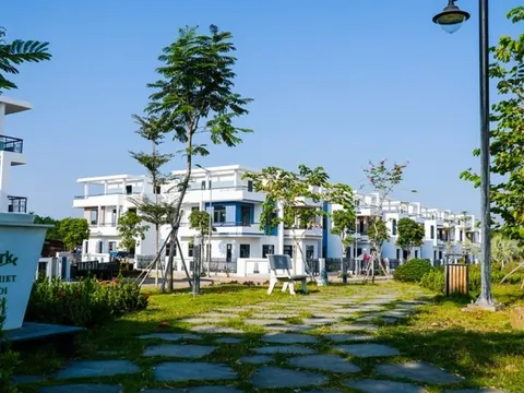 Tân Tạo bị dừng làm thủ tục hải quan, Đầu tư LDG bị cưỡng chế trích tiền từ tài khoản vì nợ thuế