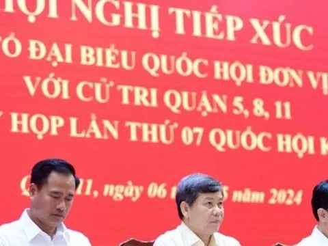 Bà Trương Mỹ Lan còn liên quan đến ít nhất hai vụ án nữa