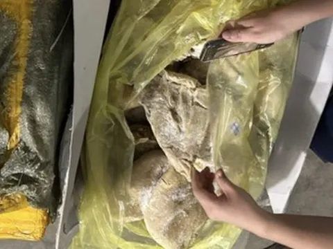 Công an TP HCM khám xét kho đông lạnh của Công ty Trường Thành Phú