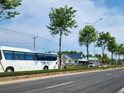 Công ty Cây Xanh Công Minh từng trúng nhiều gói thầu khủng ở Phú Quốc