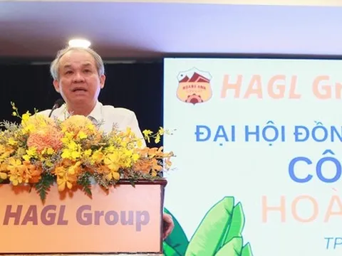 Bầu Đức khoe giá thành sầu riêng của HAGL chỉ có 15.000 đồng/kg, hứa xóa hết lỗ trong năm nay