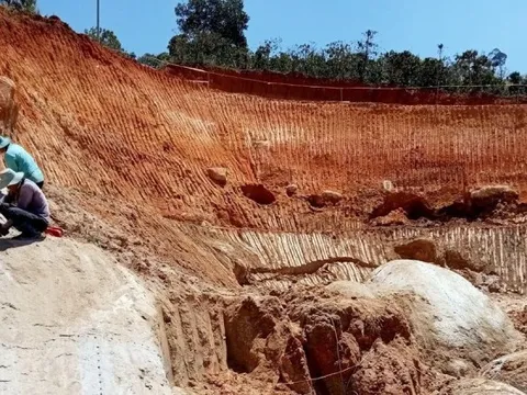 Lâm Đồng không xem xét cho chuyển nhượng dự án thuỷ điện Cam Ly