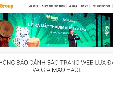 Xuất hiện kẻ lừa đảo số tiền lớn đầu tư vào Hoàng Anh Gia Lai, công ty cảnh báo