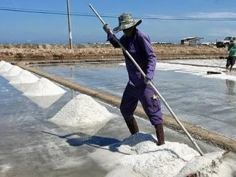 Giá nông sản hôm nay 12/5: Hồ tiêu tăng nhẹ, lúa tươi được giá, diêm dân được mùa muối