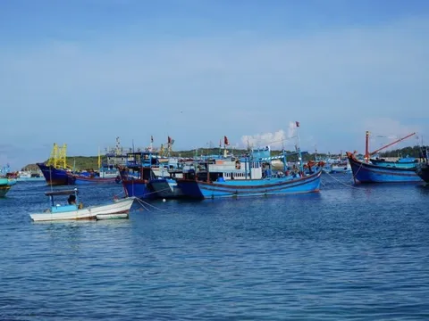 Cứu ngư dân Bình Thuận gặp nạn ở đảo Trường Sa lớn khi đánh bắt hải sản