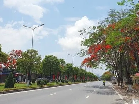 Hoa phượng vĩ “thắp lửa” bầu trời Hải Phòng