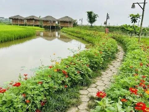 Nông nghiệp hữu cơ phát triển kinh tế ven đô Thành phố Hà Tĩnh