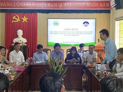 Nhận tiền tỷ bằng việc “bán không khí” từ rừng