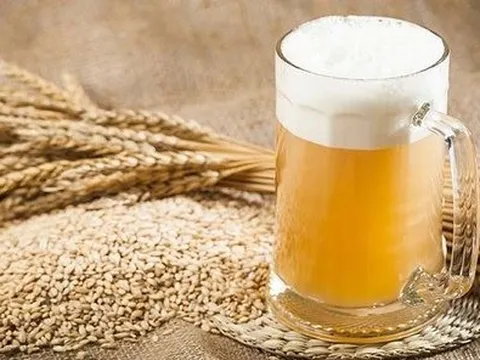 Doanh nghiệp đầu tiên sản xuất malt bia tại Việt Nam báo lỗ năm thứ 4 liên tiếp