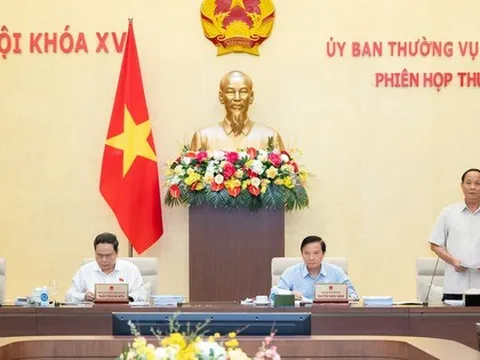 Cử tri đau xót khi cán bộ cấp cao vi phạm, không thể tiếp tục trọng trách