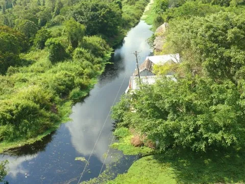 Cà Mau: Hơn 31.000ha rừng dự báo cháy cấp V