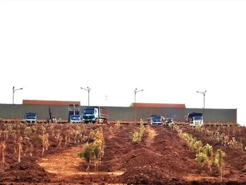 Kẹt giữa kho báu bô xít - Kỳ cuối: Tỉnh loay hoay vì vượt thẩm quyền