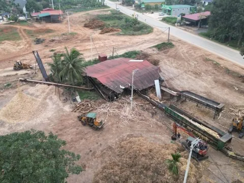 Thanh Hóa xử lý, lập lại trật tự 100 cơ sở chế biến gỗ keo không phép
