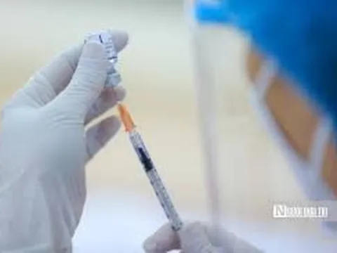 Bộ Y tế cấp phép vắc-xin phòng sốt xuất huyết