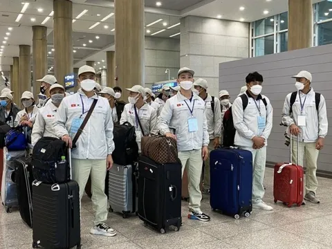 Bộ Lao động cảnh báo lừa đảo xuất khẩu lao động qua Australia