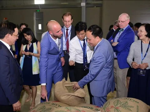 Cuộc chơi mới của “vua tiêu” Phan Minh Thông: Sản phẩm cà phê Arabica Việt Nam lần đầu được Mỹ đón nhận sau 6 năm chào bán, chuỗi K COFFEE tăng 57% khách GenZ nhờ “thay áo hồng”