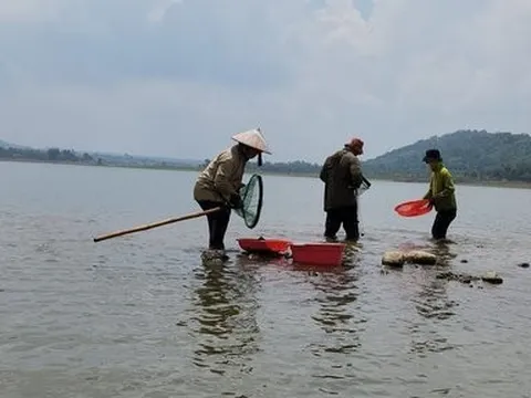 Mưu sinh trên hồ đẹp nhất Buôn Ma Thuột và niềm vui của nhiều cần thủ