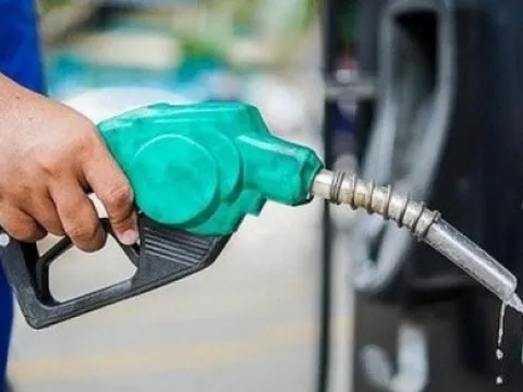 Thu hồi Giấy phép thương nhân xăng dầu của Petrolink