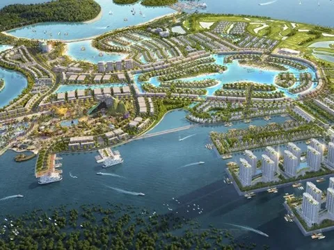 Chủ đầu tư dự án Khu du lịch Quốc tế Đồi Rồng lỗ đậm trong năm 2023