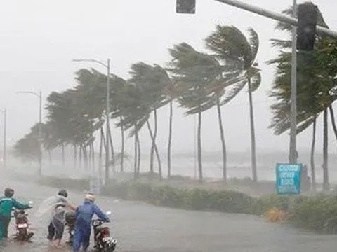 Năm nay khả năng có nhiều cơn bão mạnh, trái quy luật