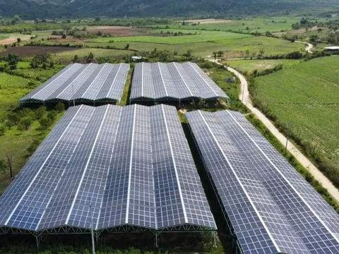 Quỹ đầu tư tạo tác động hình thức vốn vay đầu tiên của Việt Nam “chốt deal” với DN năng lượng tái tạo, thực hiện thương vụ thứ 3 từ đầu năm