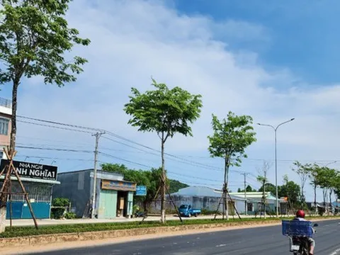 Vì sao TP HCM yêu cầu nhiều đơn vị cung cấp hồ sơ về cây xanh cho cơ quan điều tra Bộ Công an?