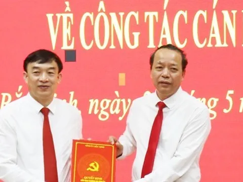 Bắc Ninh bổ nhiệm Trưởng Ban Tuyên giáo Tỉnh ủy