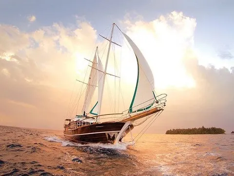 Các DN mở rộng quy mô đón chu kỳ tăng trưởng mới: Hòa Phát, Dabaco, Dược Hậu Giang, May Sông Hồng... được gọi tên