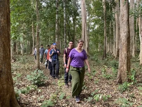 Đánh thức tiềm năng du lịch tại rừng khộp duy nhất ở Việt Nam