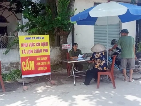 Quảng Ninh: Thêm một xã xuất hiện ổ dịch bệnh tả lợn châu Phi