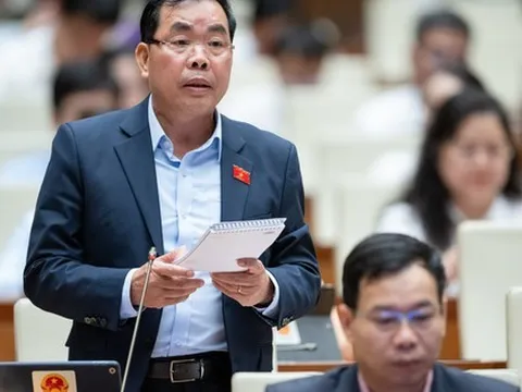 ĐBQH: Dự một đám cưới ở quê, tôi thấy việc cấm tuyệt đối nồng độ cồn có khi lại đúng