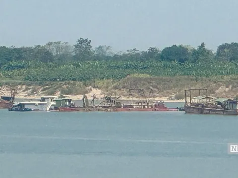 Hà Nội đề nghị Phú Thọ cung cấp hồ sơ khai thác cát đoạn giáp ranh