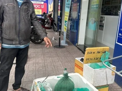 Tây Ninh: Tạm giữ hình sự đối tượng mua bán rắn hổ mang chúa