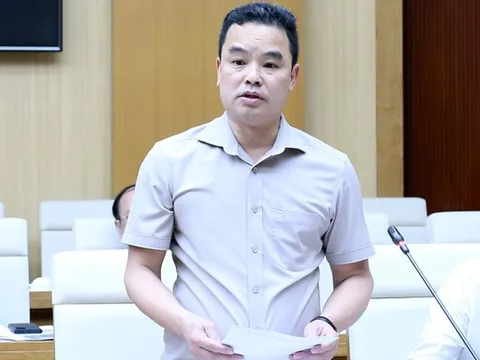 Nguyên nhân khiến Giám đốc Khu di tích lịch sử Đền Hùng bị khởi tố, bắt giam