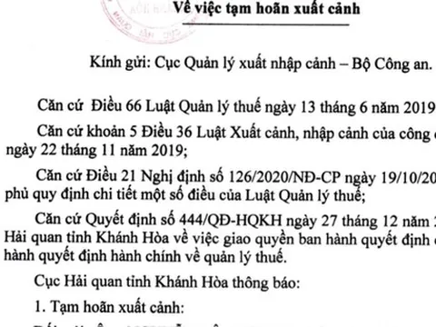 Trung Nam Group nói gì khi Chủ tịch HĐQT bị đề nghị tạm hoãn xuất cảnh?