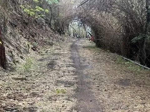 Vụ thi thể cô gái trong vali trên núi: Tạm giữ 2 nghi phạm