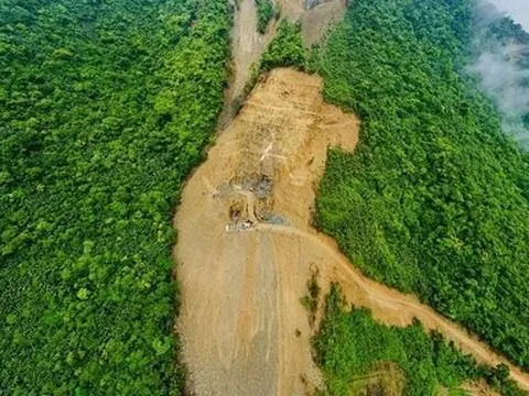Yêu cầu làm rõ vụ vi phạm mở đường trái phép trên rừng phòng hộ