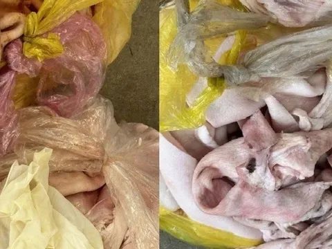 Thanh Hóa: Bắt giữ 1.600kg thực phẩm không rõ nguồn gốc