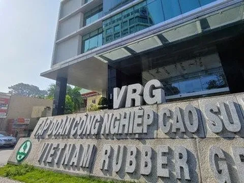 Khởi tố 9 bị can trong vụ án tại Tập đoàn Công nghiệp Cao su Việt Nam