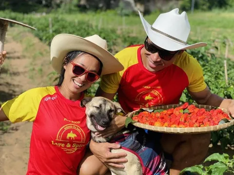 Founder hãng tương ớt “cay quá đã”, “cay như quỷ”: Lên Google học lên men 1 tấn ớt, đem giống ớt cay đạt kỷ lục Guinness trồng tại Việt Nam, đưa lên kệ tất cả các sàn TMĐT